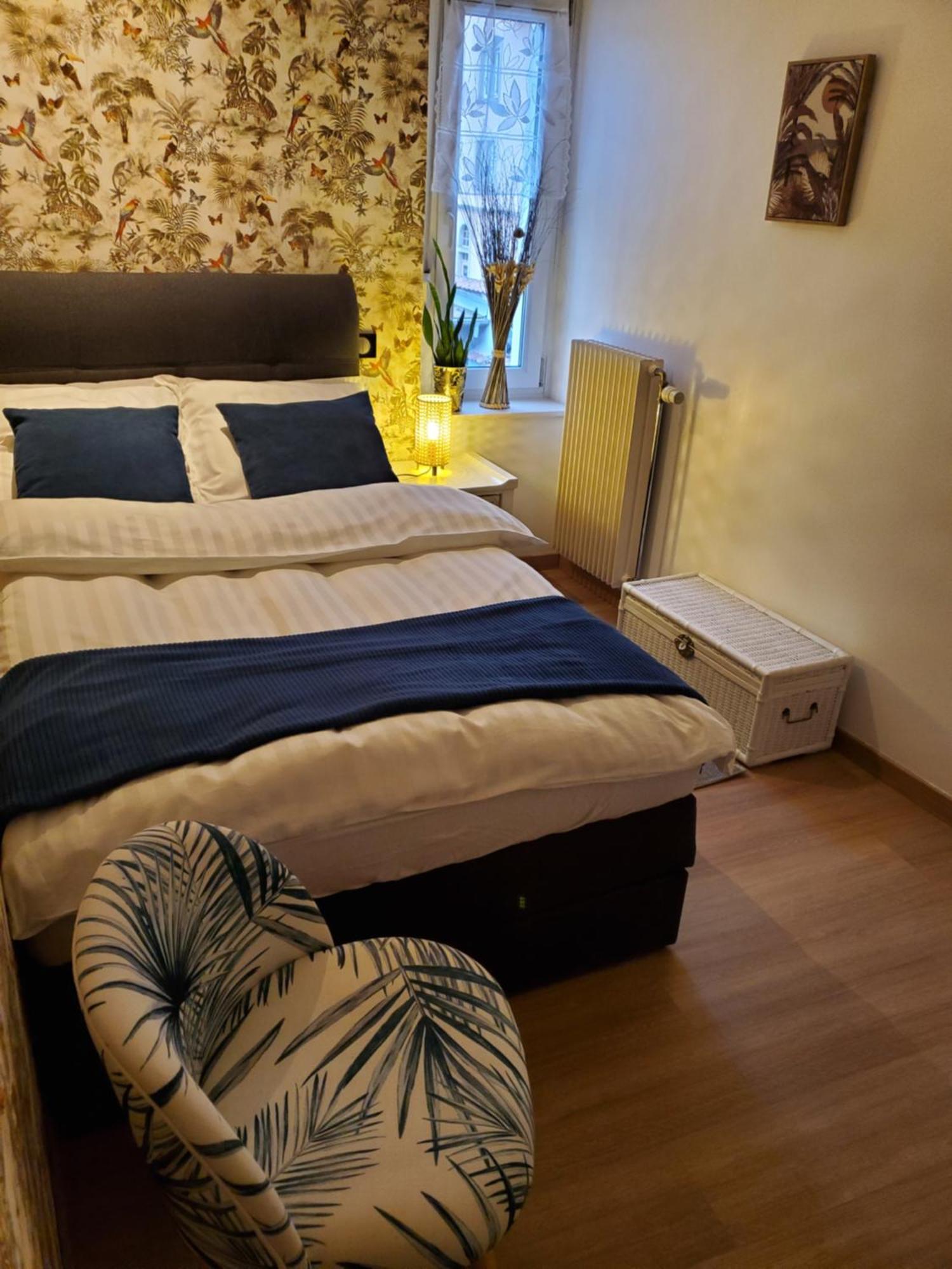 Mirka & Franck Apartment Chic 4 Stars Parking Free Colmar Zewnętrze zdjęcie