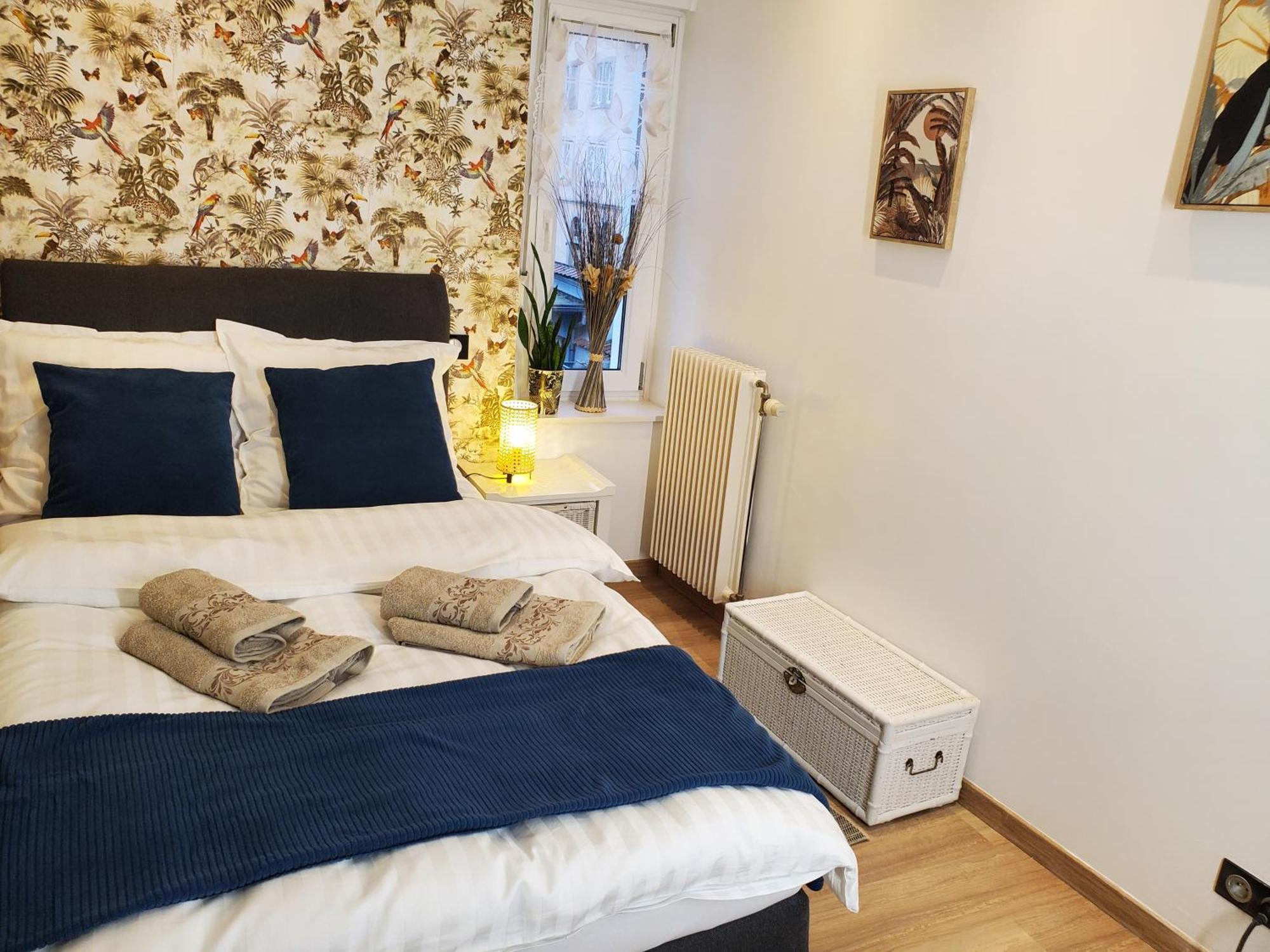 Mirka & Franck Apartment Chic 4 Stars Parking Free Colmar Zewnętrze zdjęcie